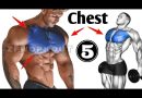 5 Best Chest Exercises | Easy Chest Workout At Gym