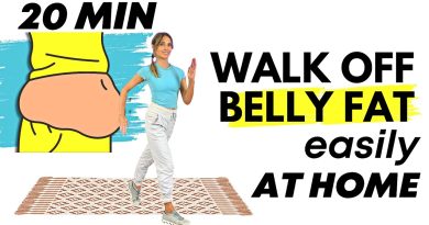 20 Minute Walking Exercises to Lose Belly Fat  | Walk at Home