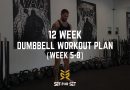 The Ultimate 12 Week Dumbbell Workout Plan For Strength & Hypertrophy: Week 5-8 [Session 1-5]