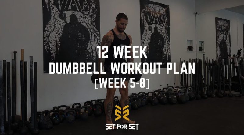 The Ultimate 12 Week Dumbbell Workout Plan For Strength & Hypertrophy: Week 5-8 [Session 1-5]