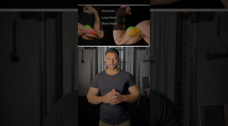 Exercise for biceps short head muscle #bodybuilding #gym #workout