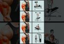 easy triceps workout #shorts #fitness