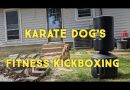 Quick Fitness Kickboxing Workout