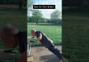 Bench Easy Fitness  Workout. try it ipman8137#dailyshorts #endurance #cardio#chestexercises #focus